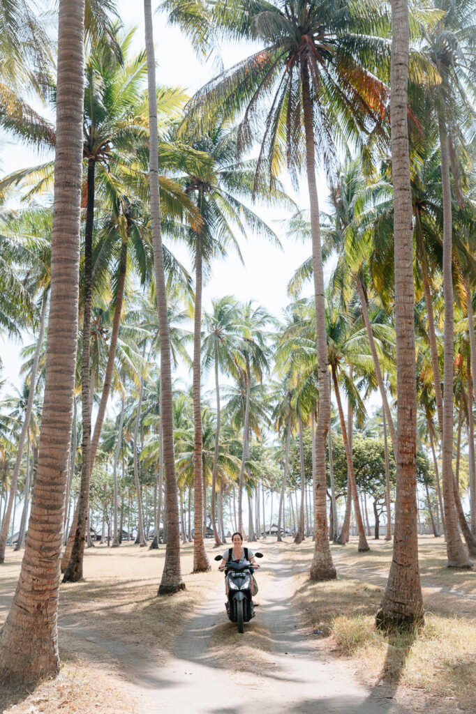 Scooter rider on a palm-lined path in Lombok